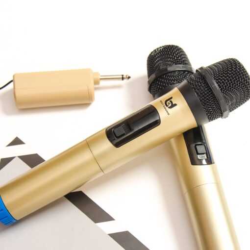 Micro Không Dây Đa Năng BEST SOUND V-W003 màu vàng đen ( Loại 2 Mic ) - Ảnh 11