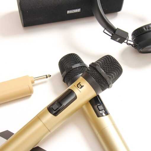Micro Không Dây Đa Năng BEST SOUND V-W003 màu vàng đen ( Loại 2 Mic ) - Ảnh 10