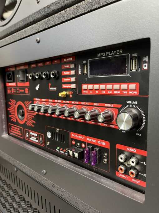 Loa Kéo 4 Tấc Đôi ( Bass 40 Đôi ) Gập DP S400 - Ảnh 5