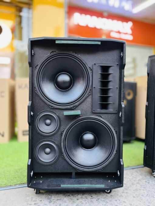 Loa kéo bass 30 đôi dp 06 viral