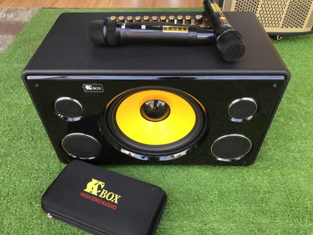 Do để micro gần và hướng thẳng vào loa kéo khiến loa hú, rít gây khó chịu khi nghe