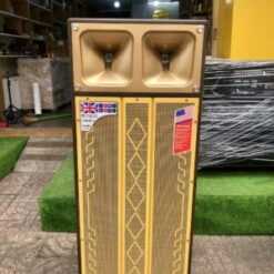 Loa Kéo 4 Tấc Đôi Đứng DP - S1D