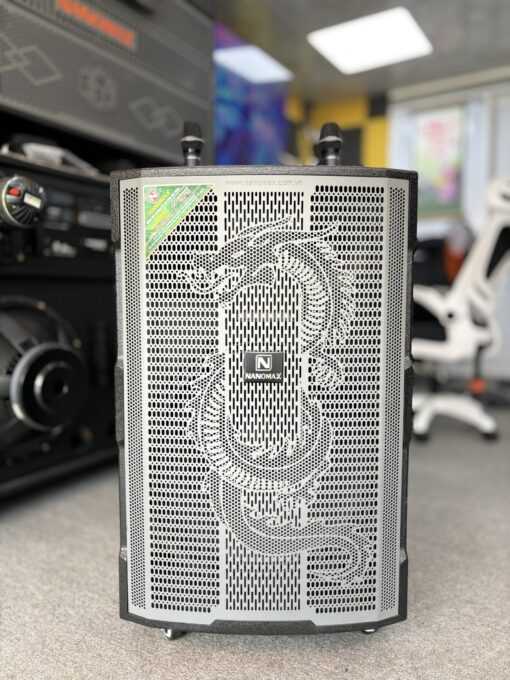 nanomax gt 2024