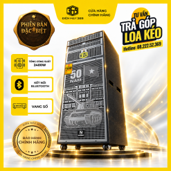 Loa Điện Nanomax Pro-369d